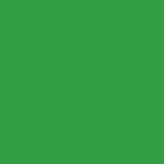 SAVAGE FUNDO PAPEL TECH GREEN (46) 2,72m x 11m