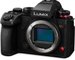 Panasonic LUMIX S1 II + S-R24105