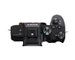Sony ALPHA 7 M3+Sigma AF 45mm 2.8 (C) DG DN