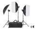 Godox KIT MS300V-D TRIO STUDIO FLASH