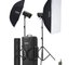 Godox KIT QT400III-C DUO STUDIO KIT