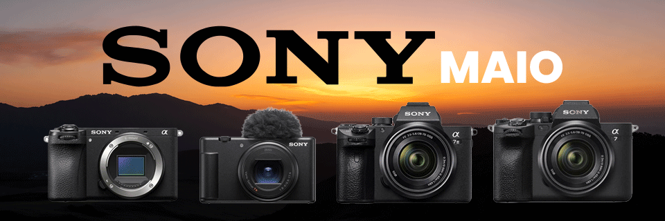 Sony Maio